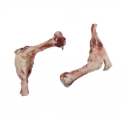 Femur bones